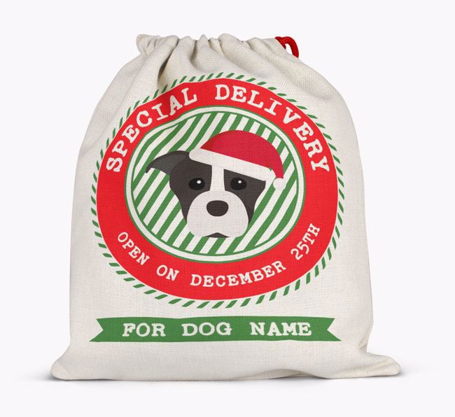 Special Delivery: Personalized {breedFullName} Santa Sack